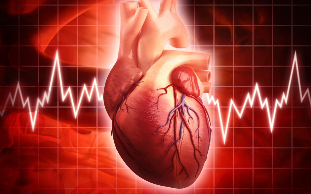 Staying Heart Smart – Understanding Cardiovascular Disease